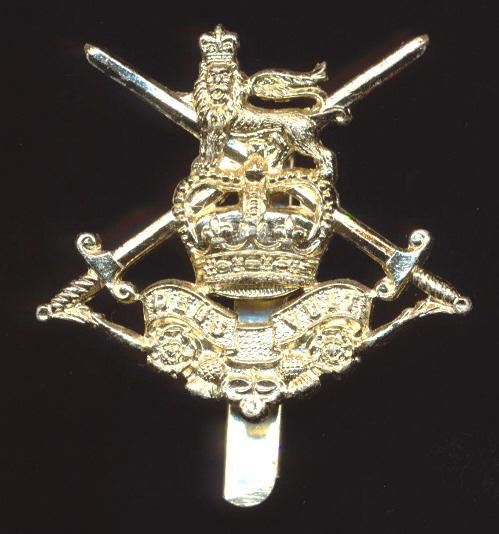British Army - Infantry Training Battlion: An 'Anodised' staybright metal EIIR issue cap badge