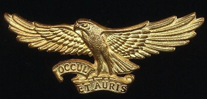 Republic of South Africa: Regiment Orange River. Gilding metal cap badge