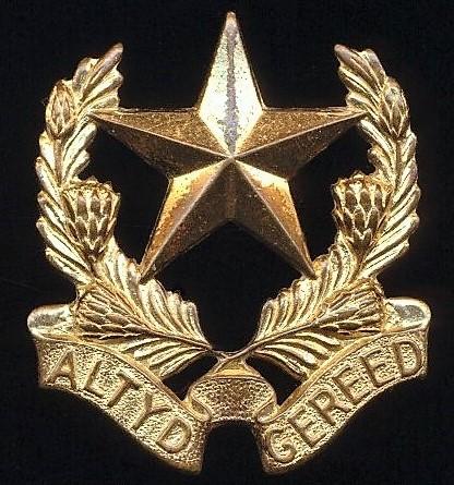 Republic of South Africa: Regiment Botha. Gilding metal cap badge