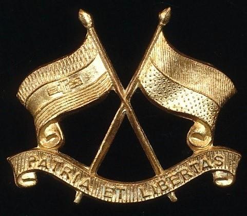 Republic of South Africa: Imperial Light Horse. Gilding metal beret cap badge
