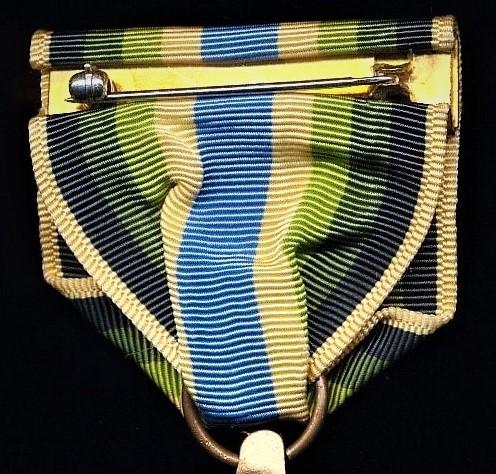Armed Forces Service Medal, AFSM