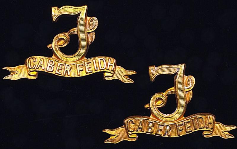 Seaforth Highlanders: Pair of gilding metal collar badges. Victorian