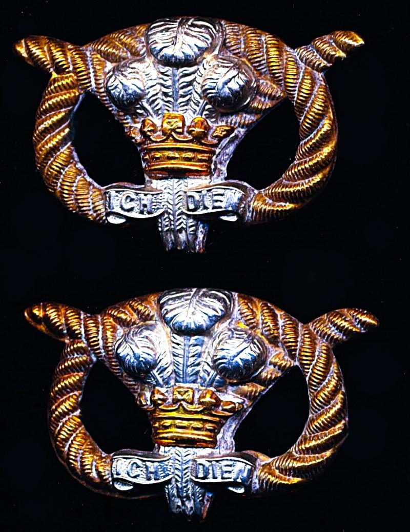 North Staffordshire Regiment: Pair of bi-metal collar badges. Victorian issue