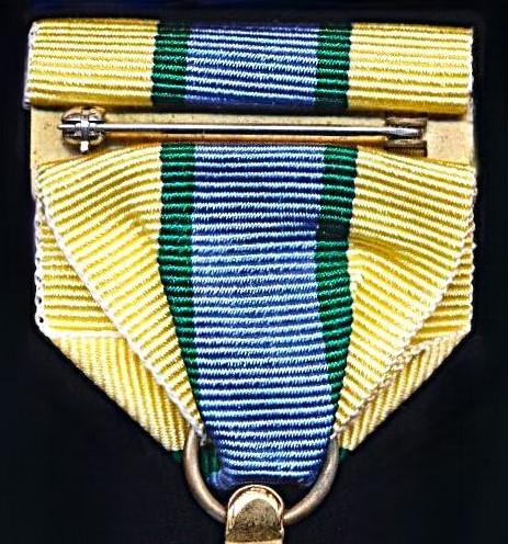 United Nations Medal: UNOSOM I & UNSOM II (United Nations Operation in Somalia I & II 1992-1995)