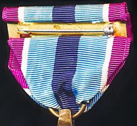 United States: Humanitarian Service Medal (HSM)