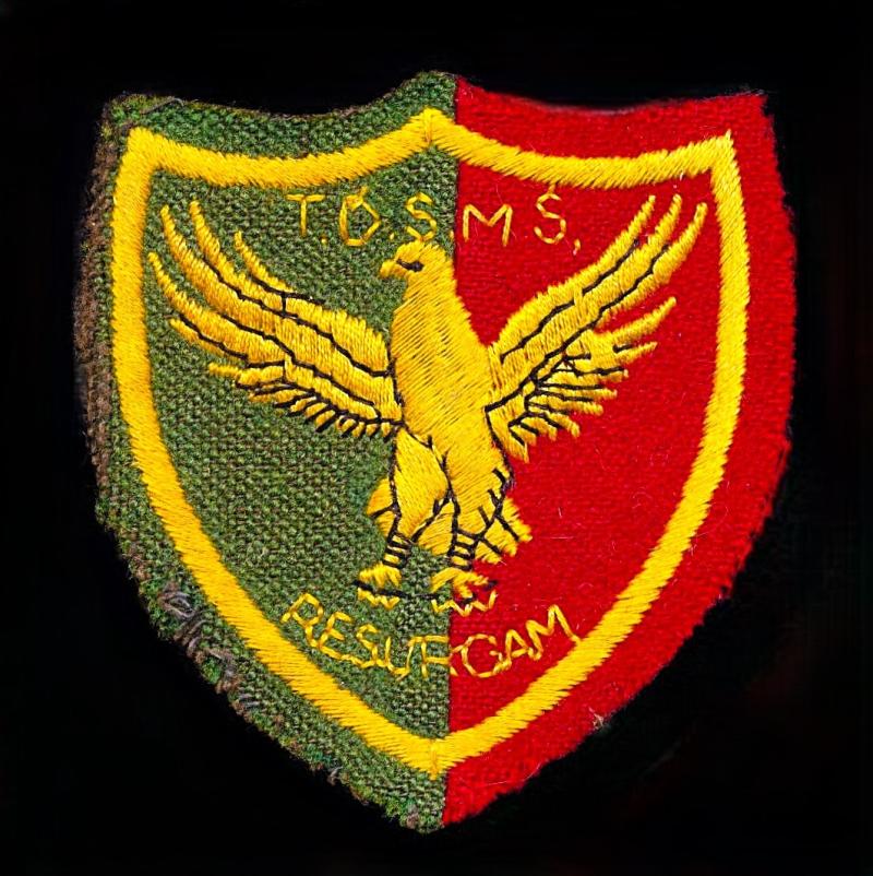 Trucial States (British Protectorate): Trucial Oman Scouts Military School (T.O.S.M.S.). Sleeve Badge. Transition era 1971-72