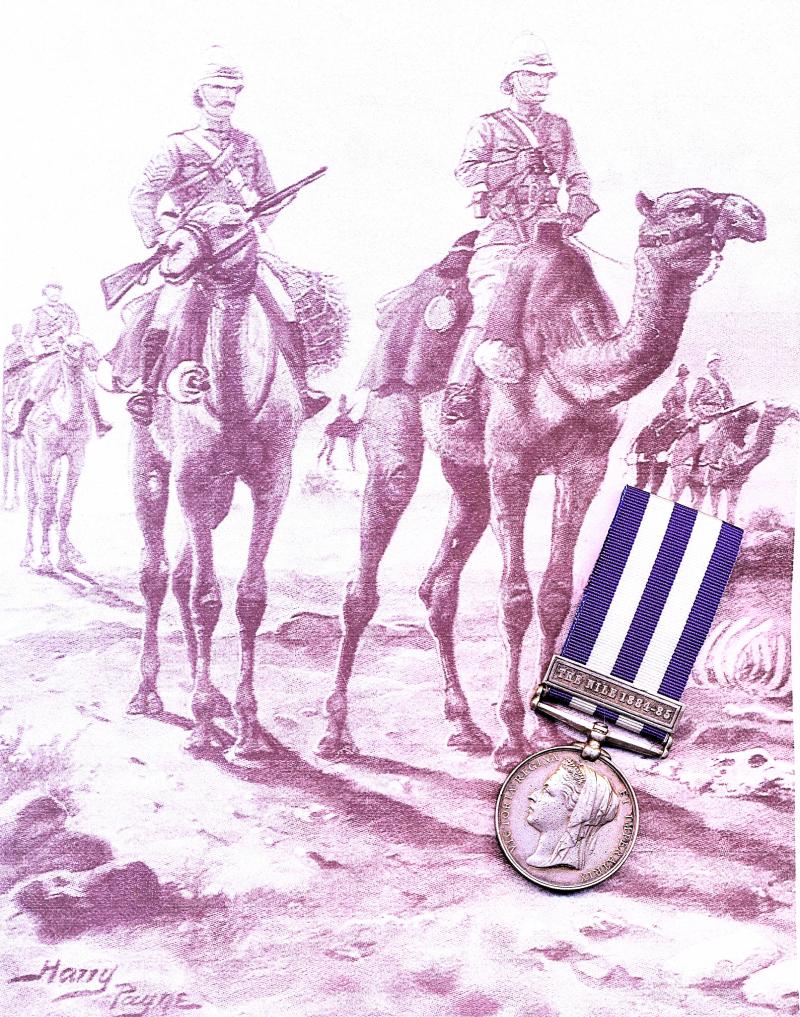 Egypt & Sudan Medal 1882-89 (2394, Pte C. W. Pepper, 2/ Dragn Gds)